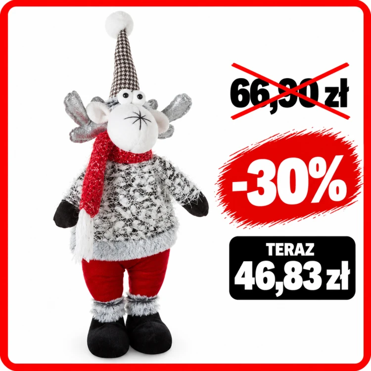 Świąteczna Promocja Renifera -30%
